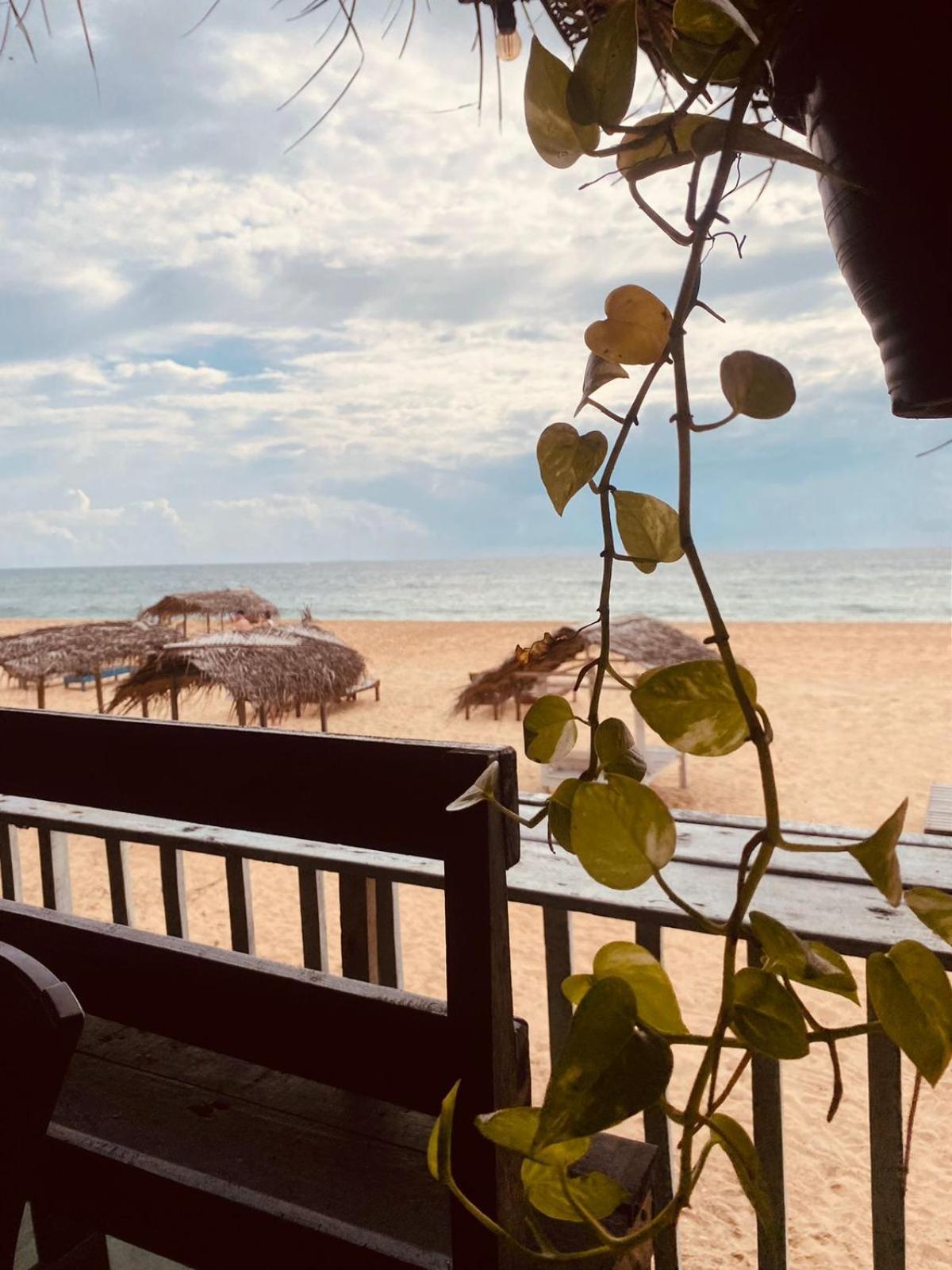 Sea Shine Guest House Хиккадува Экстерьер фото