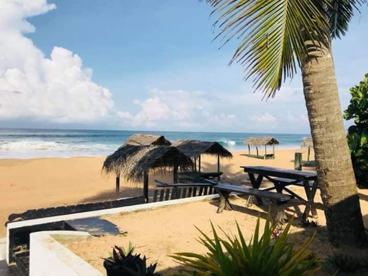 Sea Shine Guest House Хиккадува Экстерьер фото